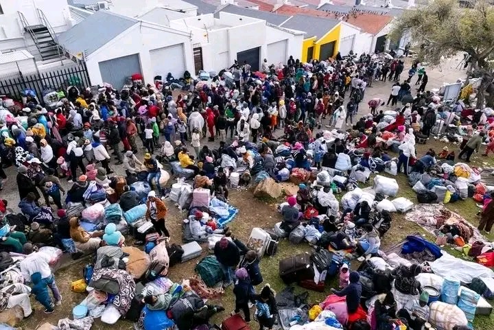 Repatriation and Reintegration of Zimbabwean Citizens Returning from South Africa: A Call for a National Policy